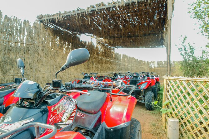 Quad Biking on the Beach and Forest Dunes with Pickup from Agadir - Price and Value: Is $38.34 Worth It?