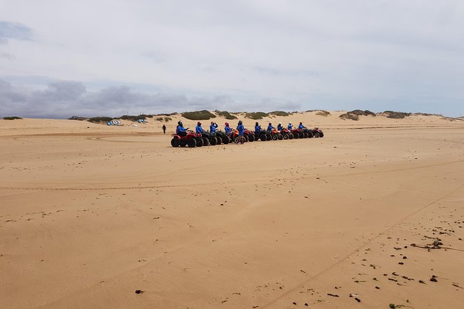 Quad day with south Essaouira meal 6h(free transfer) - Argan-tree forests: shade, texture, and a calmer pace