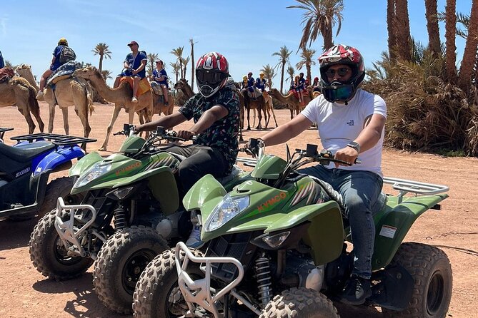 Quad in the Palmeraie of Marrakech - Key highlights to know before you go