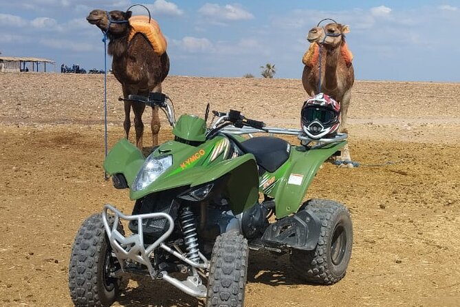 Quad in the Palmeraie of Marrakech - Quad bikes in the Palmeraie: why this ride beats a day stuck in Marrakech