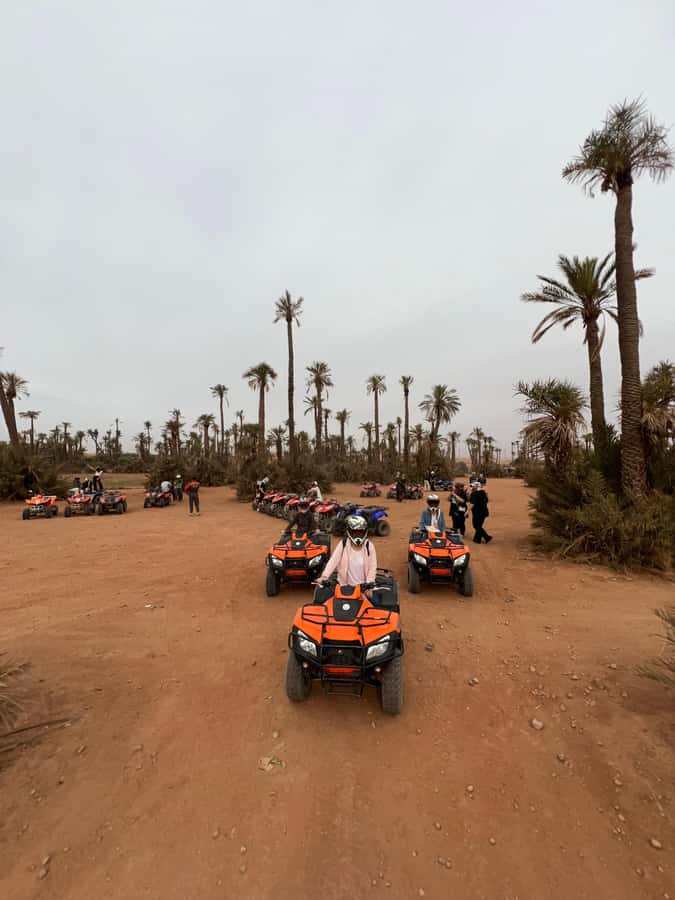 QUAD PALMERAIE MARRAKECH - Palm grove to desert on foot: why the walk matters