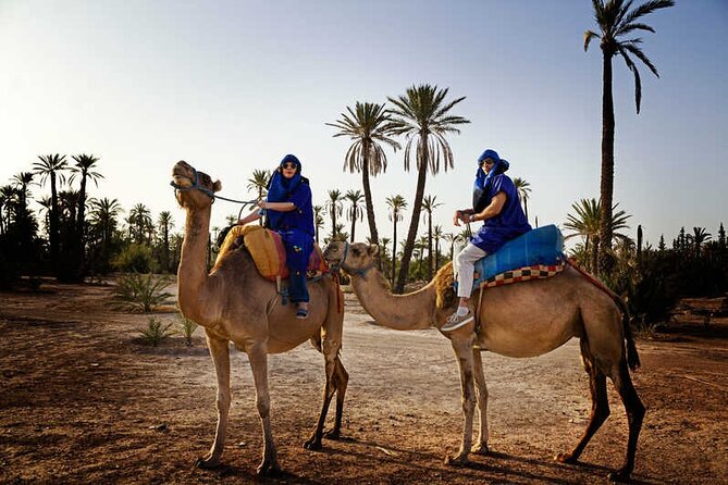Quad palmeraie Marrakech et balade chameau transport inclus - Berber tea break: the pause that makes it feel local