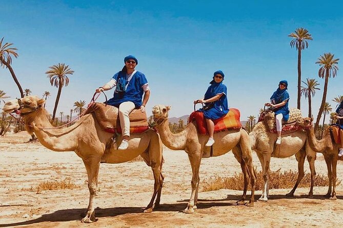 Quad palmeraie Marrakech et balade chameau transport inclus - Who should book this half-day quad + camel?