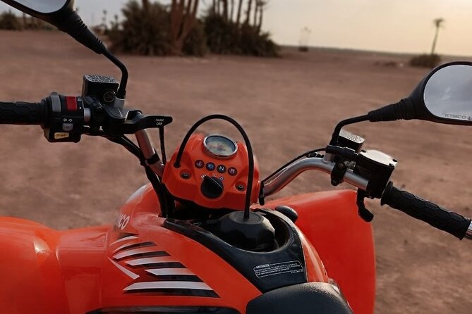 Quad ride in the Palmeraie Marrakech - Meeting in Marrakesh: pickup, mobile ticket, and an easy start