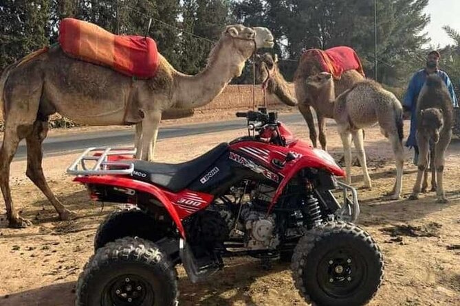 Quad ride in the Palmeraie Marrakech - Price and timing reality check: 2 hours, small group, and a weather note