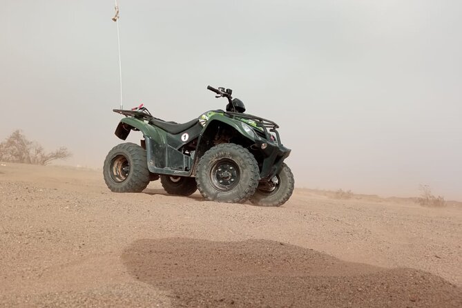 Quad tour in the palm grove desert - Quad biking outside Marrakech: why the palm-grove desert is the star