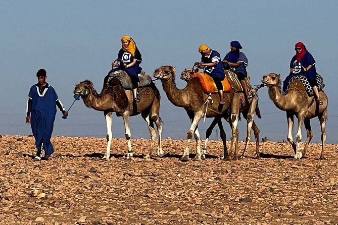 Quad tour to La Palmeraie de Marrakech - How much speed should you expect, really?