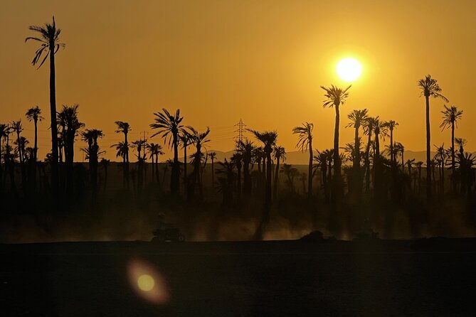 Quad tour to La Palmeraie de Marrakech - The 10-minute initiation that makes or breaks the experience