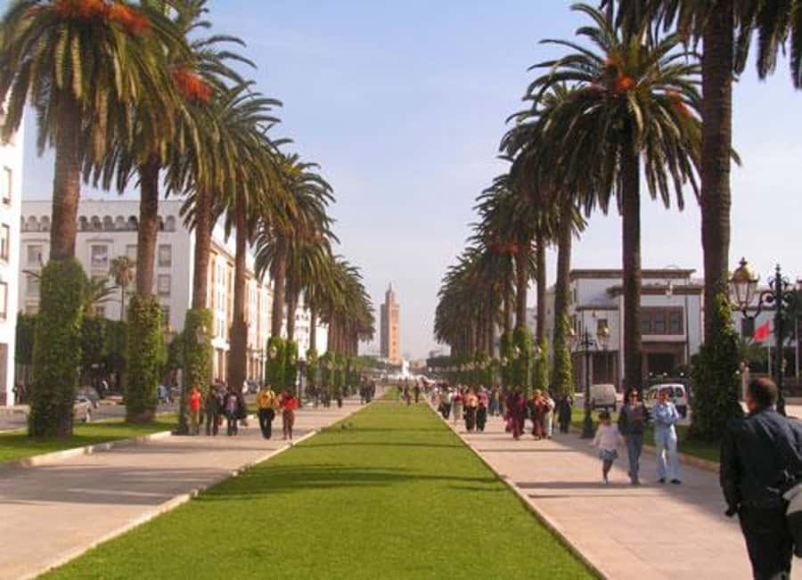 Rabat: Full-Day Trip from Casablanca - Meet Your Team: Small-Group Comfort and Real-World Driving