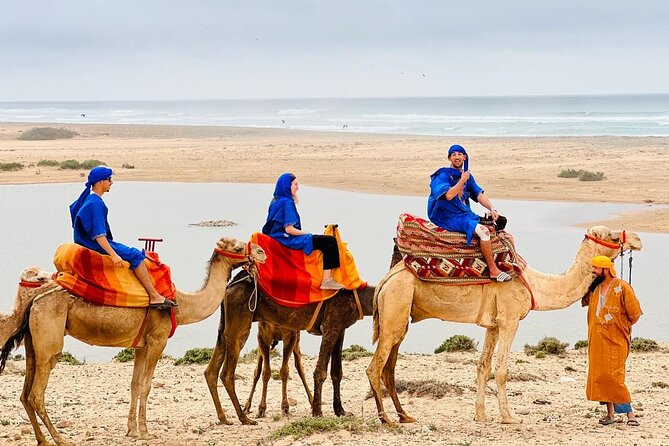 Safari Camel Ride in Banana Beach from Agadir - Key highlights before you go
