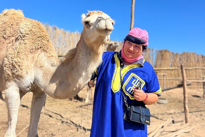 Safari Camel Ride in Banana Beach from Agadir - Tamri beach views and the feeling of coastal Morocco