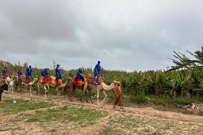 Safari Camel Ride in Banana Beach from Agadir - Tea, coffee, and snacks: Included comfort that matters