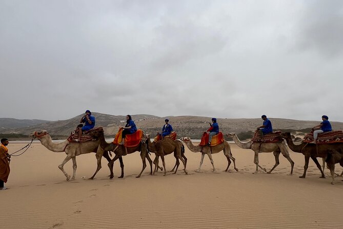 Safari Camel Ride in Banana Beach from Agadir - Camel ride along the Tamri River and banana fields