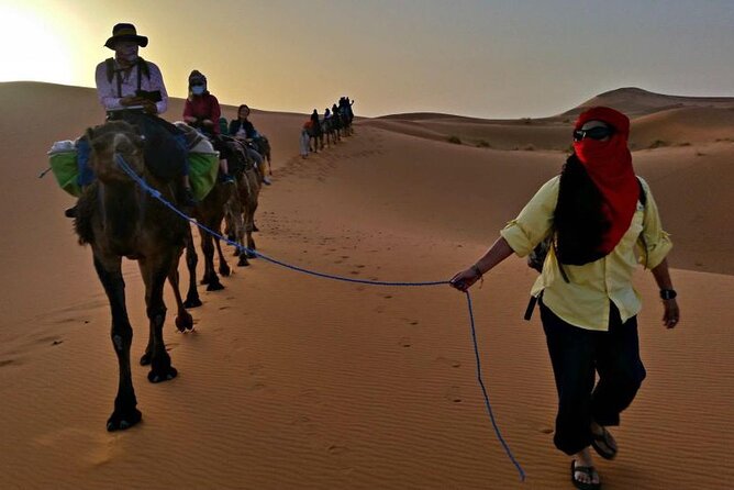 Sahara 3-Day 2-Night Desert Tour to Merzouga with Camel Trekking - Camel Trekking and Camp Night: What It Feels Like in Practice