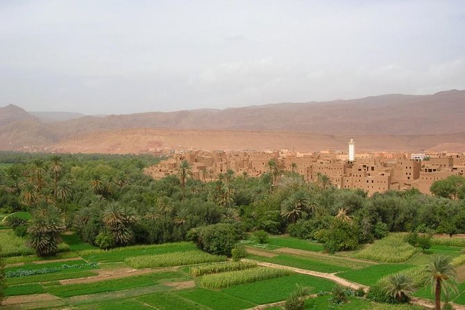 Sahara 3days/2nights mini-circuit - Who this Sahara trip is best for