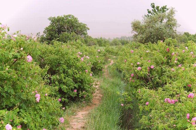 Sahara 3days/2nights mini-circuit - Day 1: High Atlas views, Ait Ben Haddou, Ouarzazate, and Dades Gorges