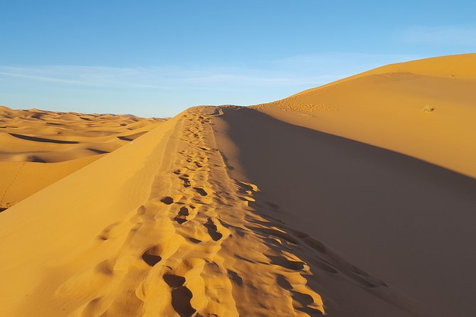 Sahara Adventure in 4 days - Day 3: Rissani market authenticity, Draa Valley date palms, and the Anti Atlas caravan road