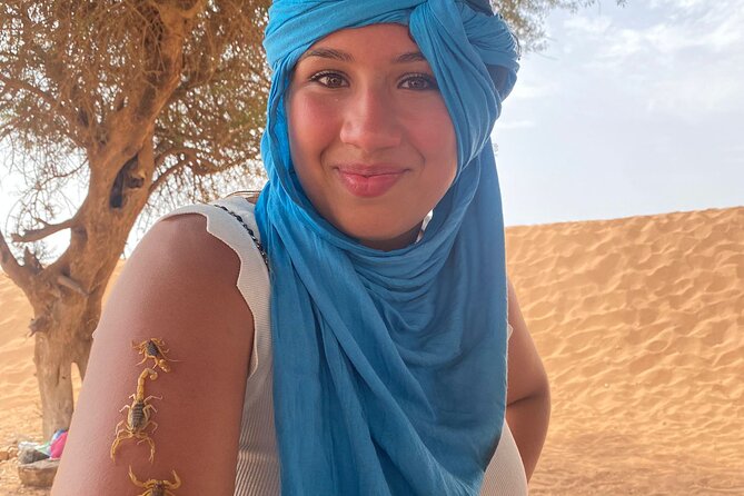 Sahara Day Trip from Agadir - The Dam Stop: Youssef Ibn Tachfine and Big Anti-Atlas Views