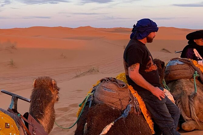 Sahara Desert + Atlas Mountains Tour - 3 Days 2 Nights - Fez to Marrakech - Day 1: From Fez medina to Merzouga dunes (Atlas stops that actually matter)