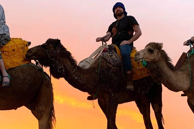 Sahara Desert + Atlas Mountains Tour - 3 Days 2 Nights - Fez to Marrakech - Price and logistics: the value is real, but double-check the group size