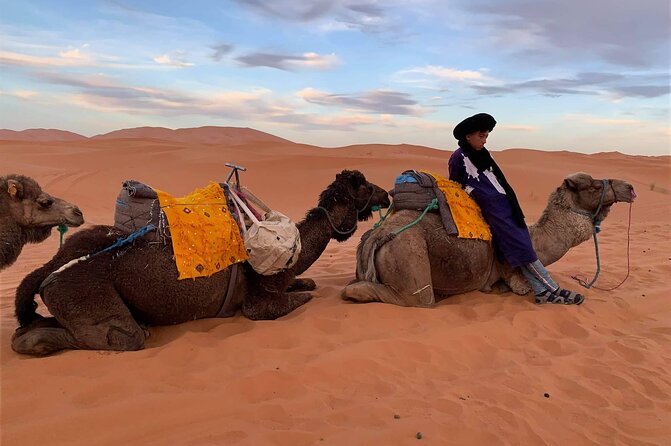 Sahara Desert + Atlas Mountains Tour - 3 Days 2 Nights - Fez to Marrakech - Who this tour is best for (and who should choose differently)