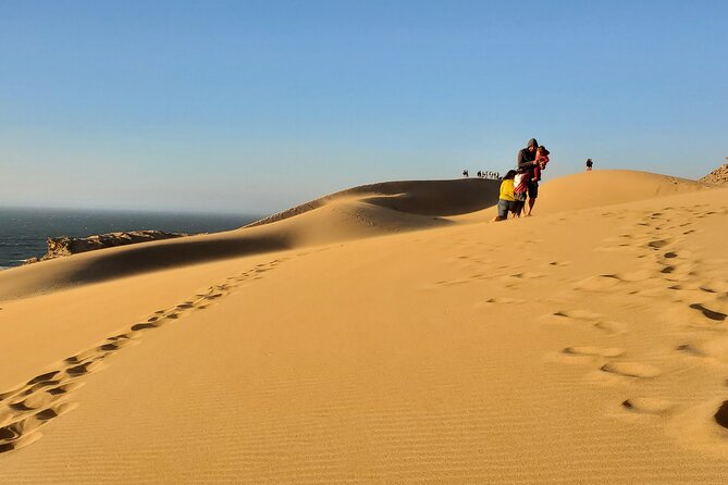 Sahara desert & paradise trip in agadir with lunch and camel ride - Why This Day Trip Works So Well From Agadir