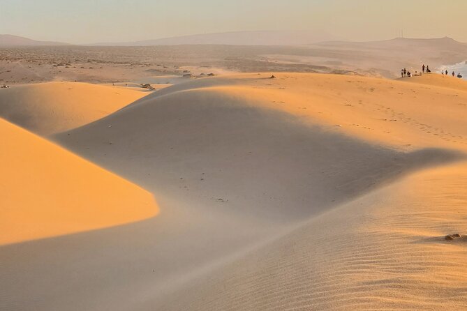 Sahara desert & paradise trip in agadir with lunch and camel ride - Quick Hits You’ll Actually Care About