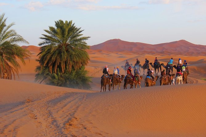 Sahara desert tour to Merzouga - 3 Days from Marrakech - Key highlights worth getting excited about