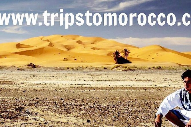 Sahara Desert Tours 4days start From Fes to Marrakesh . - The camel trek and Berber tent night: quiet, stars, and rhythms