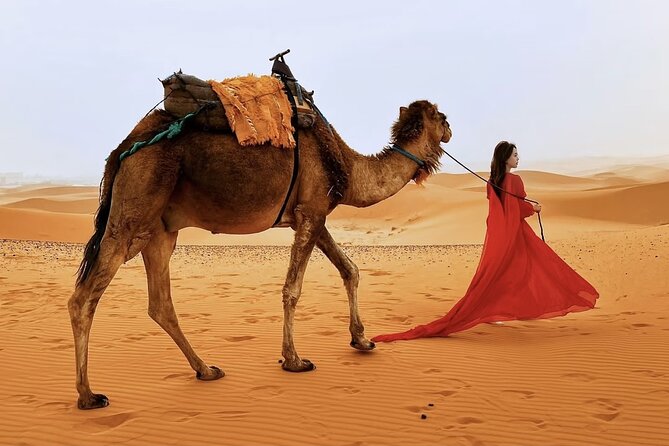 Sahara Magic: 3-Day Marrakesh to Merzouga Camel Trek & Sunset - Day 2: Road of a Thousand Kasbahs, Todra Gorge, then Erg Chebbi on camel power