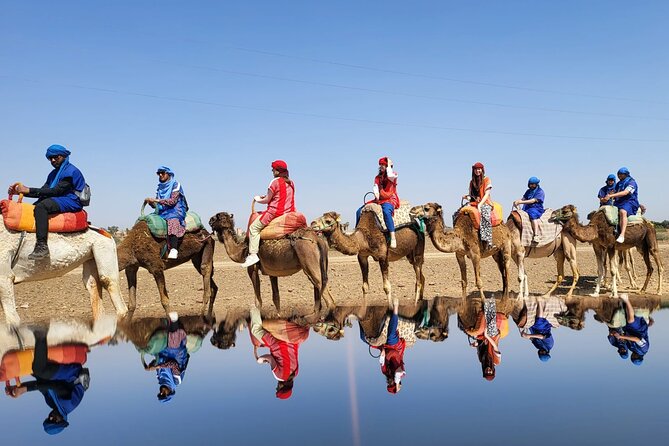 Scenic Camel Ride & Lunch by the Ourika River from Marrakech - Tea breaks, fruit trees, and photo stops: the day’s rhythm