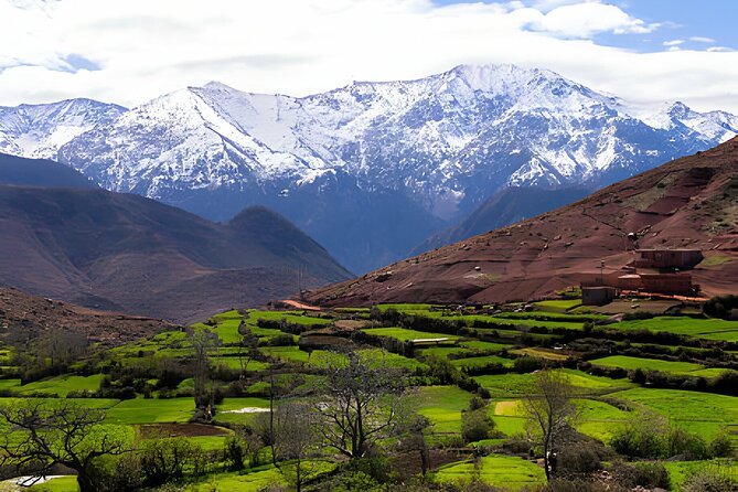 Scenic Wonders: Ourika Valley & Waterfalls Adventure - A 60km Atlas break: what the trip is really like