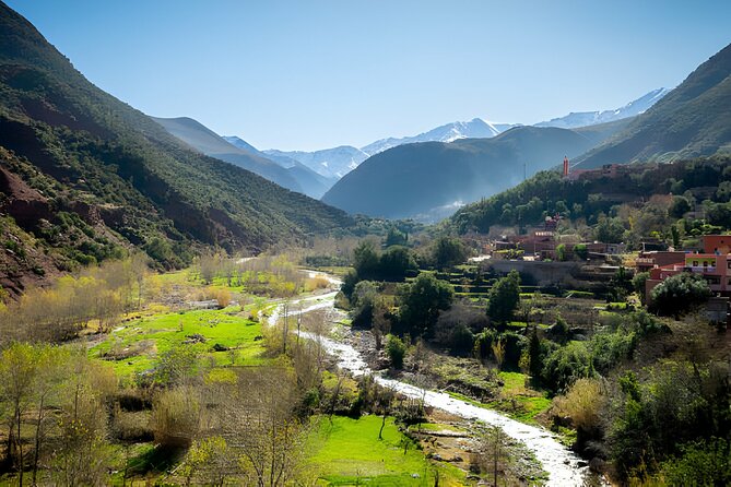 Scenic Wonders: Ourika Valley & Waterfalls Adventure - Price and value: is $47.12 a fair deal?