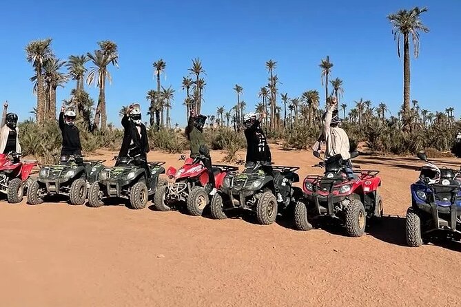 Sensational quad and camel ride in the palm grove - Palm grove circuit: the tea break that actually changes the mood