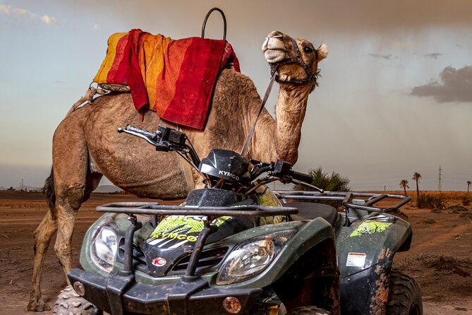 Sensational quad and camel ride in the palm grove - Getting hot: what to wear and how to set yourself up for comfort