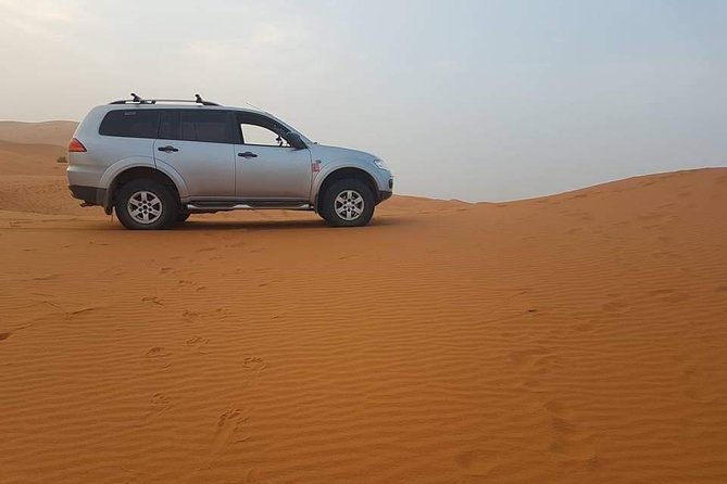 Shared 3 Days Trips From Marrakech To Merzouga - Day 2: Dades Valley and Todra Gorges, Then Back Toward Merzouga