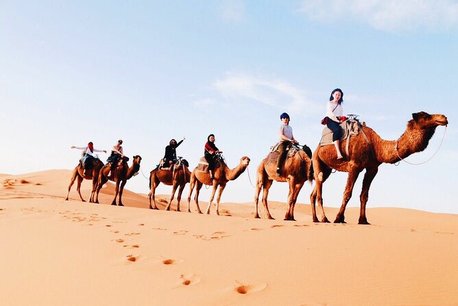 Shared Group 3 Days/2Nights: Fez to Marrakech Sahara Tour - Key Things You’ll Notice on This Fez to Marrakech Sahara Tour