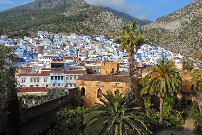 Shared Group Chefchaouen Day Trip from Fez - Chefchaouen free time: how to wander without getting lost