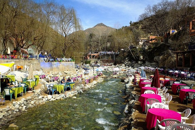 Shared group day trip from Marrakech to Ourika valley & atlas mountains - Why an Ourika Valley day trip feels like a real reset from Marrakech