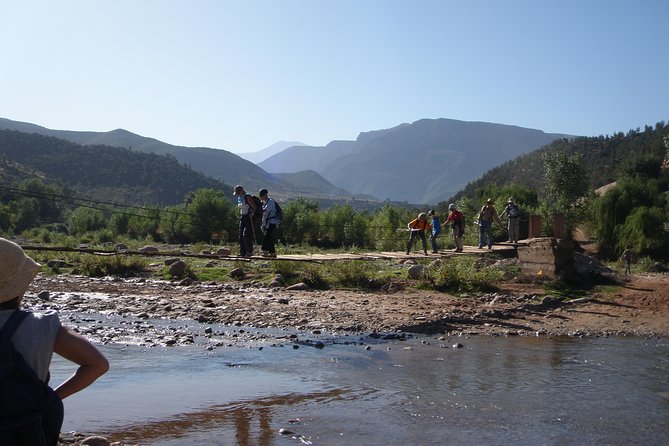 Shared group day trip from Marrakech to Ourika valley & atlas mountains - Guides and drivers: what the best days seem to have in common