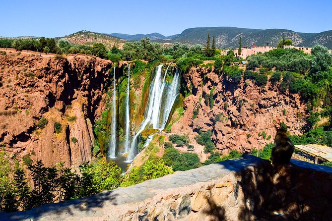 Shared group day trip from Marrakech to Ouzoud waterfalls - Lunch Break With Waterfall Views: Timing, Budget, and What’s Included