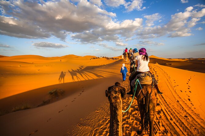 Shared Group Desert Tour Fes To Marrakech Via Merzouga 3 Days - Key Highlights You Should Care About