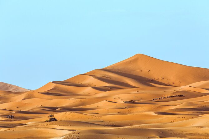 Shared Group Desert Tour Fes To Marrakech Via Merzouga 3 Days - Todra Gorges and Lunch in the Valley: A Dramatic Stop You’ll Remember