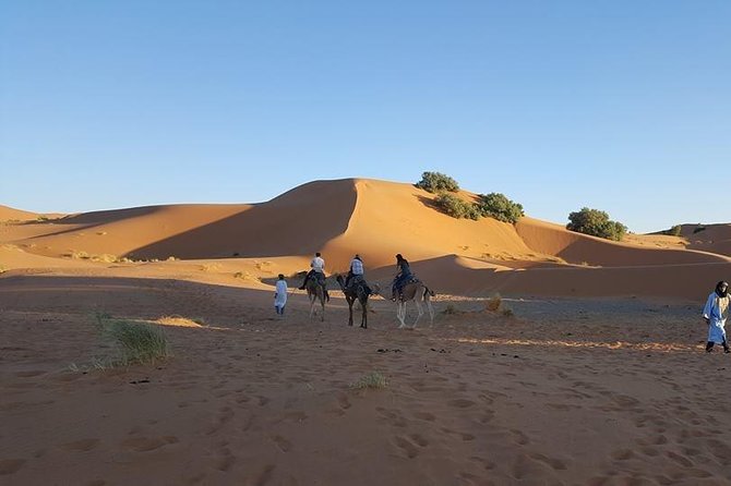 Shared Group Desert Tour Fez to Fez via Merzouga 2Days /1night - Camel trekking at sunset: the moment you came for