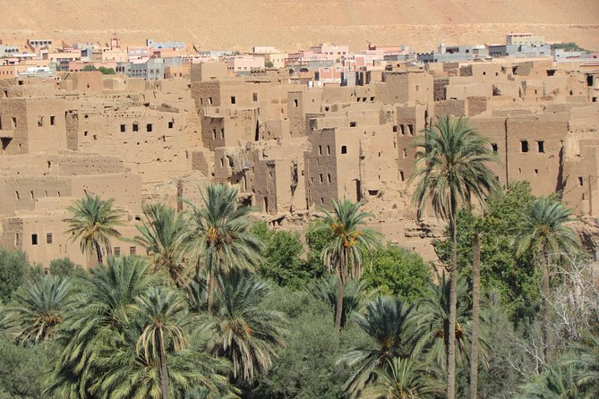 Shared group desert tour from Marrakech 2 days - Desert time is the main event: the camel ride and camp night
