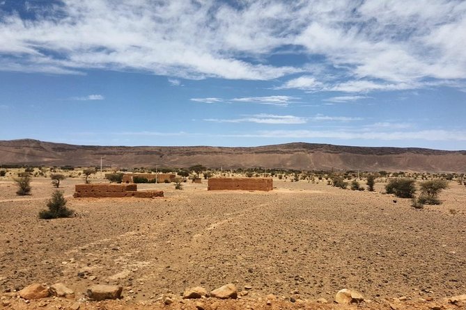 Shared group desert tour from Marrakech 2 days - Price and value: where the $81.30 goes