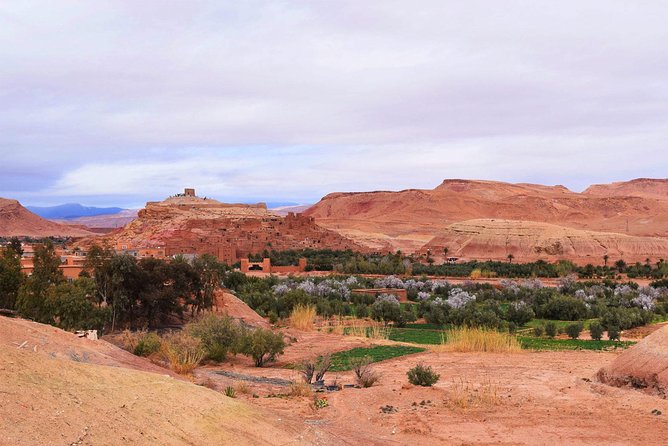 Shared Group Desert Tour from Marrakech for 3 days - The Best Fit: Who Should Book This Desert Tour?