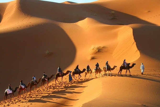 Shared Group Desert Tour from Marrakech for 3 days - Quick Tips That Make the Difference (Without Overthinking It)