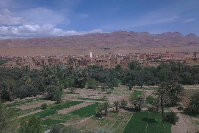 Shared group desert tour from Marrakech to Fes 3 Days - The desert night: food, sleeping in Berber tents, and star time