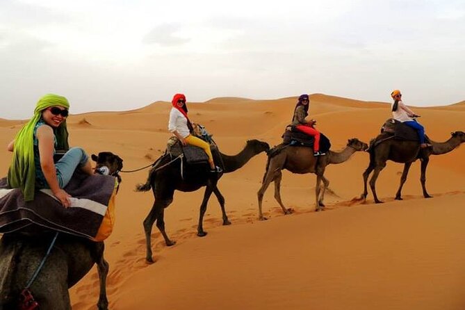 Shared group Fez to Fez Sahara tour 2Days/1Night - Merzouga and Erg Chebbi: the moment the camel trek starts